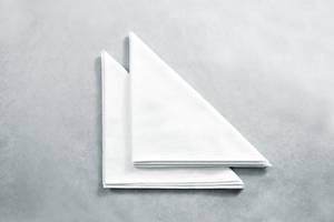 Different Types of Paper Napkins for Restaurants